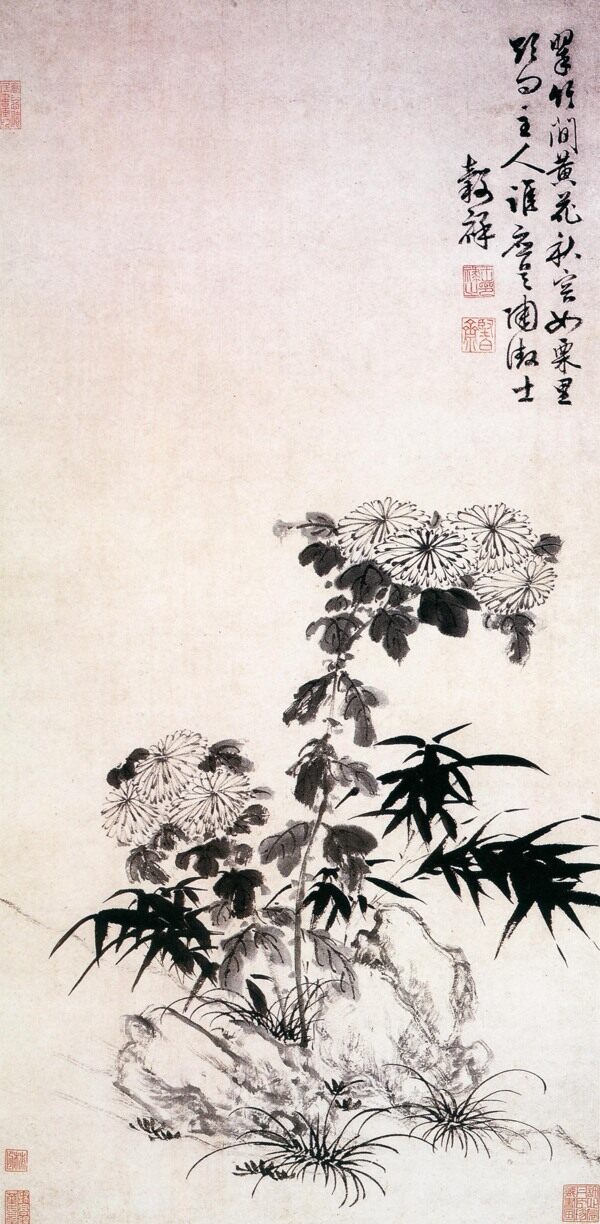 菊花古畫