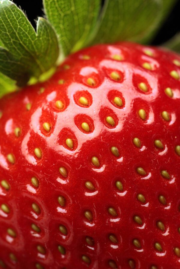 2张新鲜草莓高清图片素材