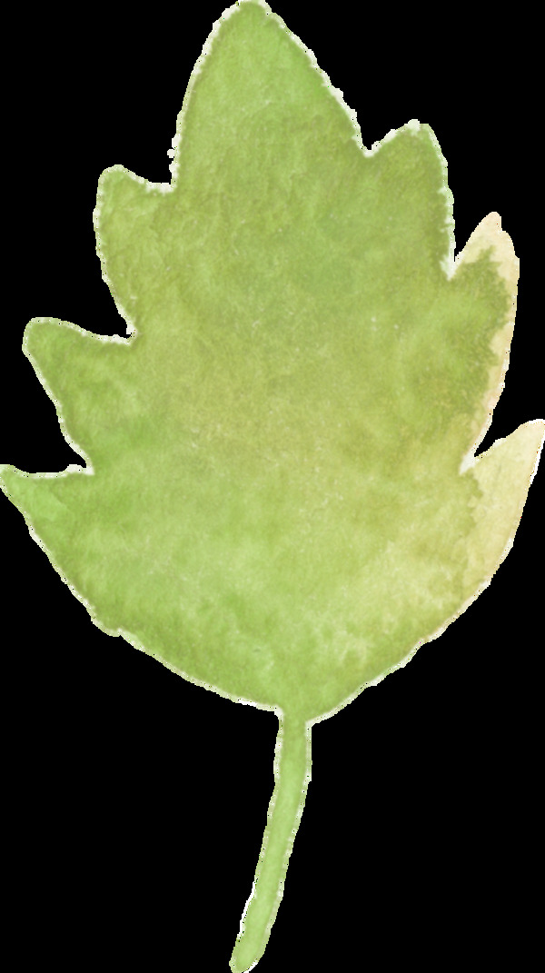 绿色枫叶透明装饰素材