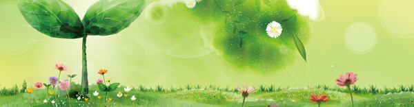 清新綠色大樹淘寶全屏banner背景