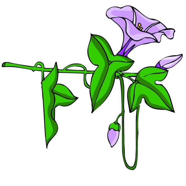 花卉古典插畫