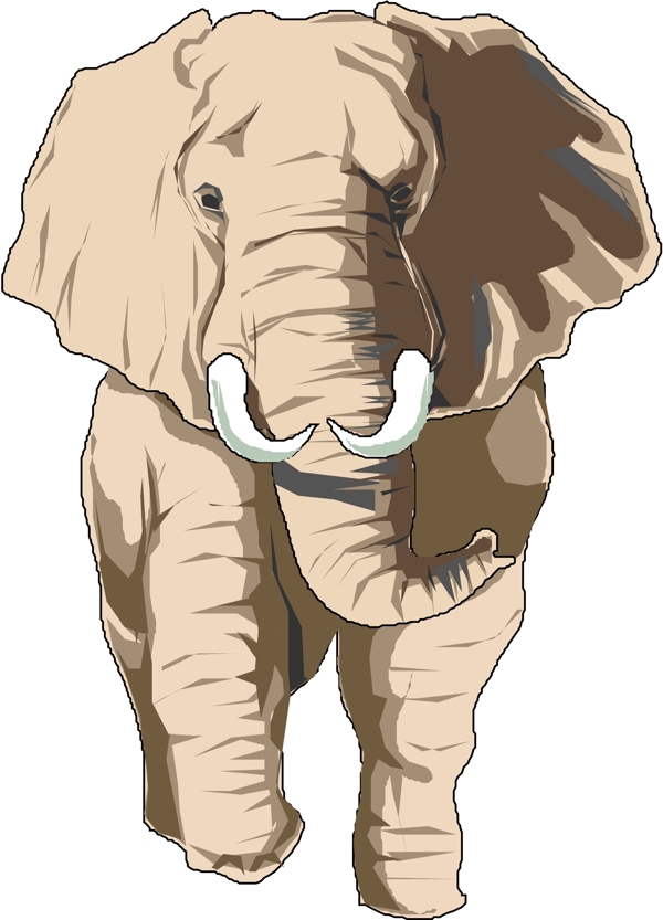 野生動物5