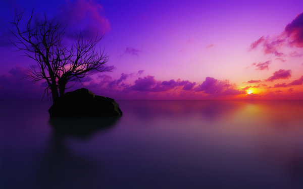 美丽的紫色夕阳图片