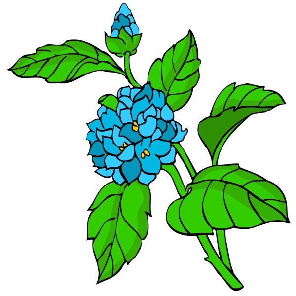 花卉古典插畫