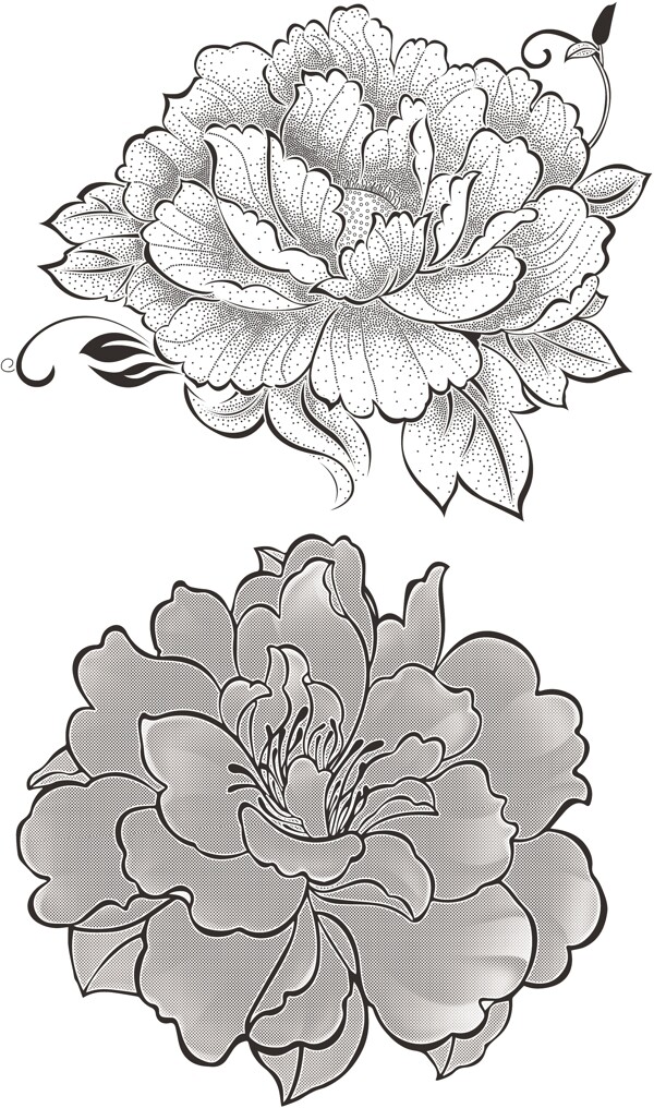 花朵矢量圖片