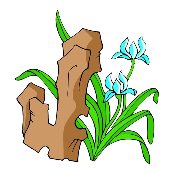 花卉古典插畫
