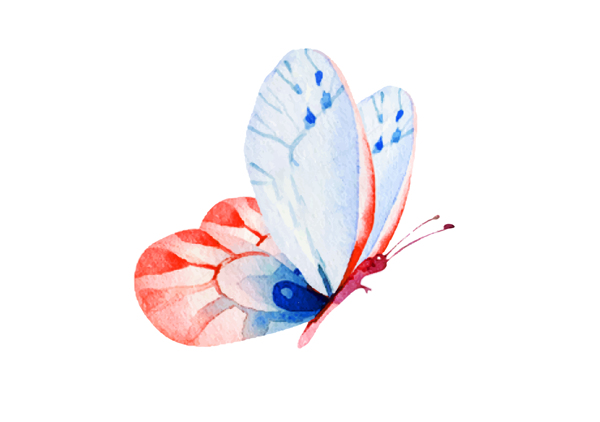 蝴蝶水彩艺术装饰背景素材图片