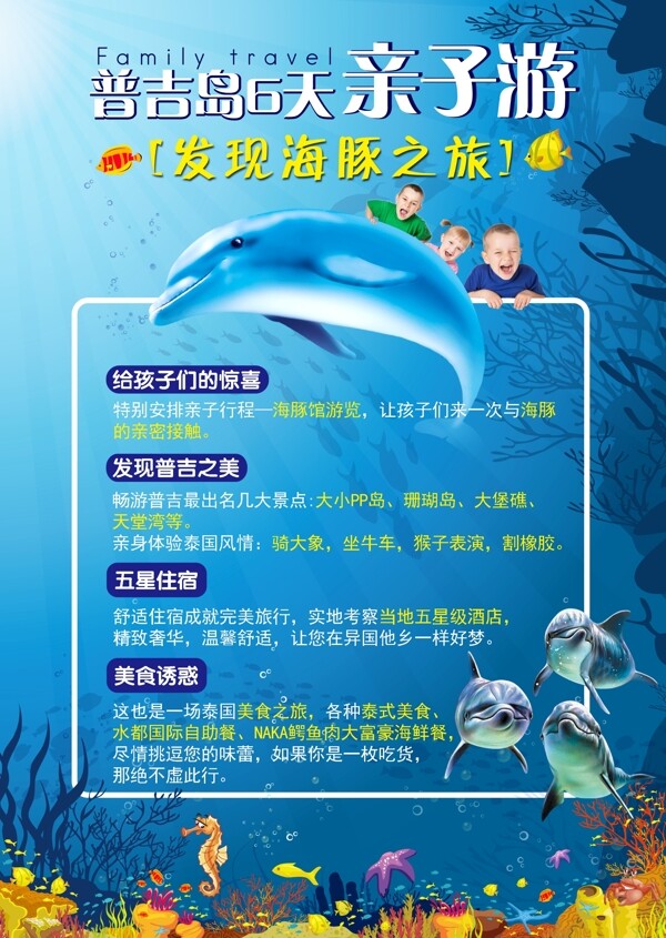 海豚之旅彩頁