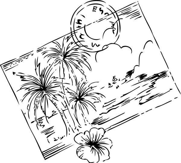 椰樹(shù)矢量圖下載