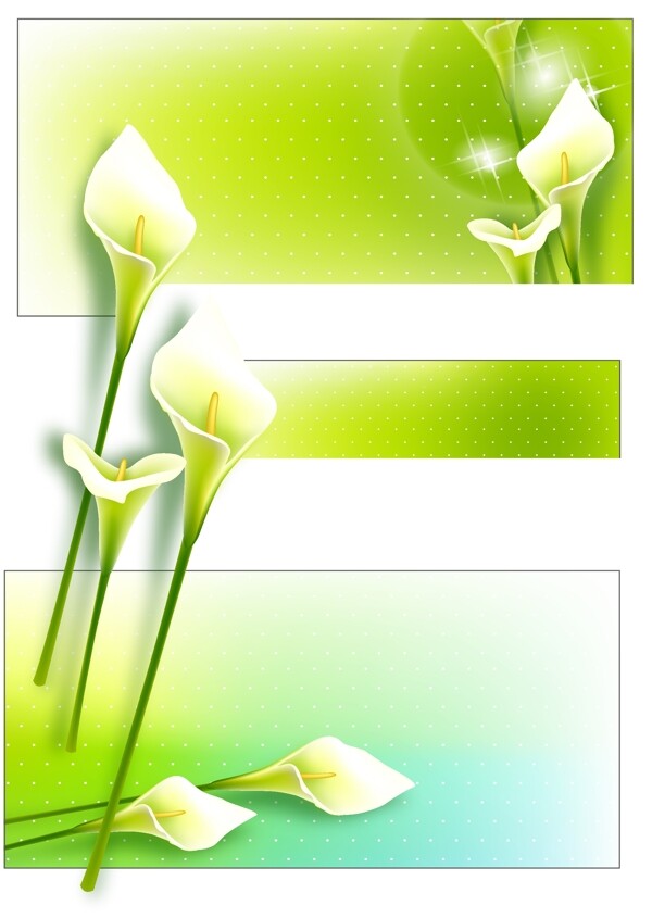 2008最新潮流花紋矢量圖001