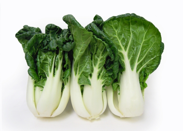 大白菜