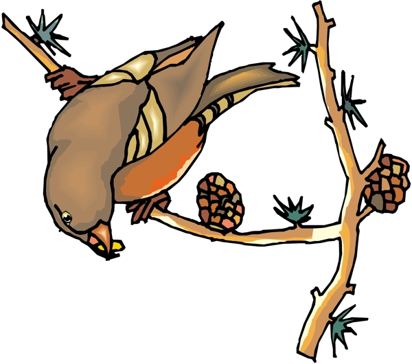 各種鳥類鳥動物矢量素材EPS格式0338