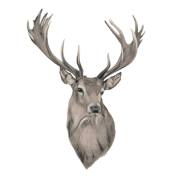 位圖插畫時尚插畫動物插畫藝術效果免費素材