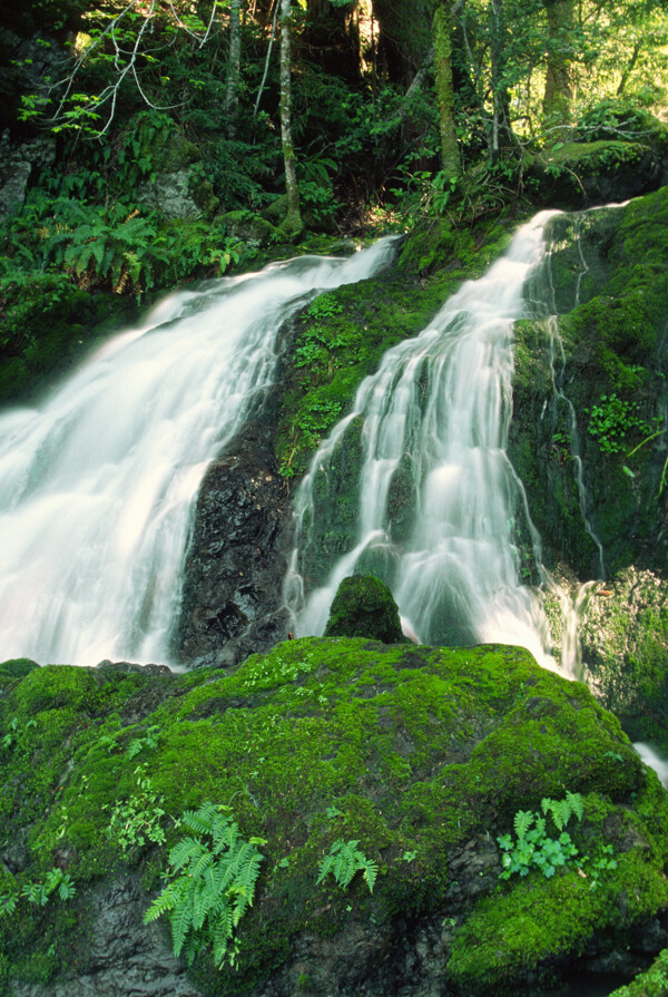 绿色山林里的瀑布图片