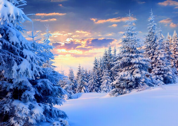 雪景圖片