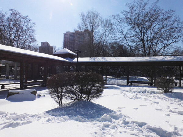 雪景
