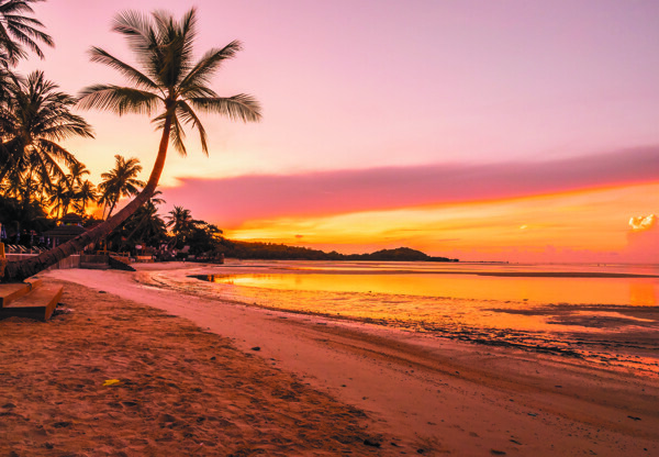 夕阳下的海岸线椰树装饰背景摄影图片