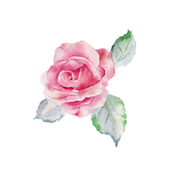 粉红玫瑰花朵设计元素
