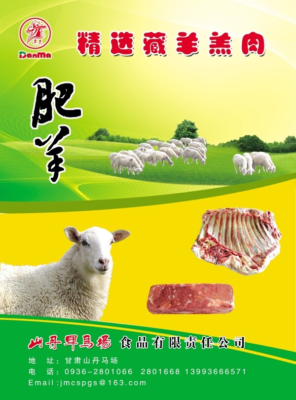 藏羊羊羔肉宣传图片