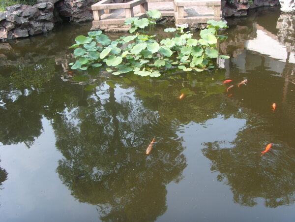 豫園