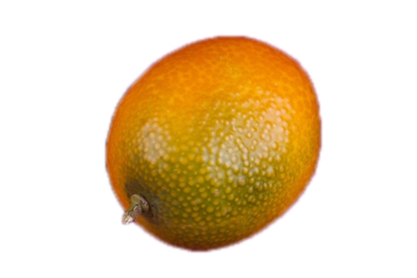 一个汁多皮薄的大橘子