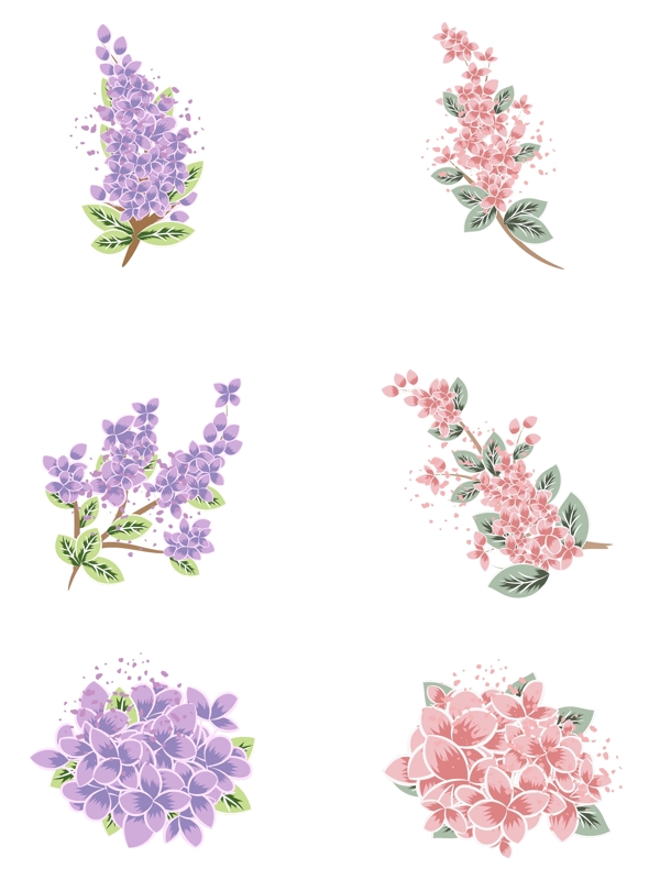 丁香花