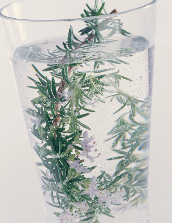 茶圖片