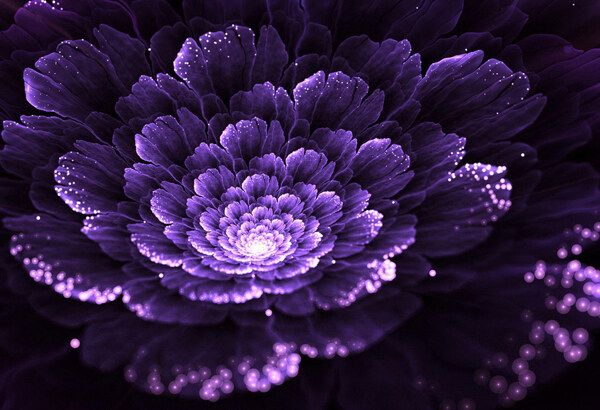 紫色花朵艺术