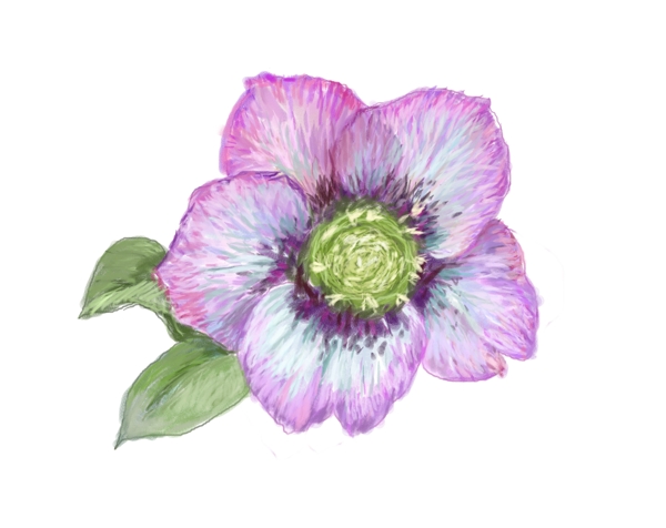 數(shù)碼印花圖案