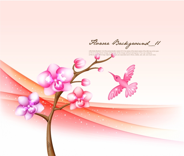 時(shí)尚花紋小鳥(niǎo)花紋圖片