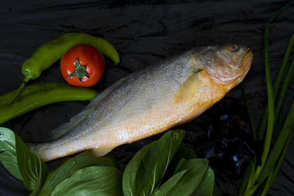 大黃魚圖片