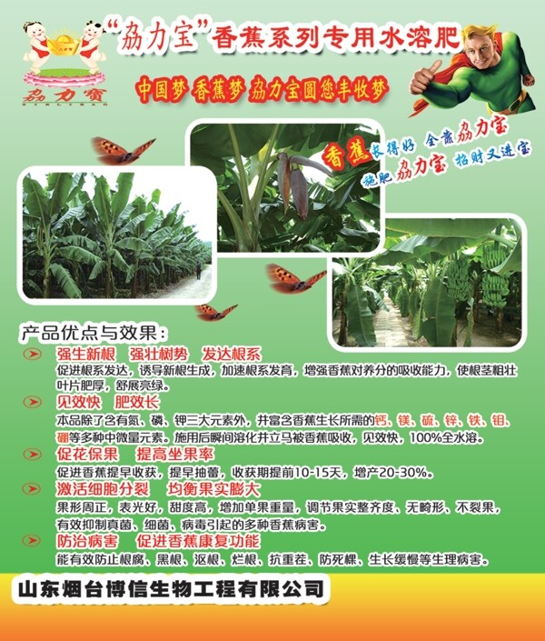 劦力寶PSD彩頁香蕉系列專用水溶肥宣傳單