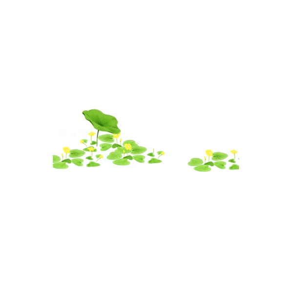 清新荷花小黃花