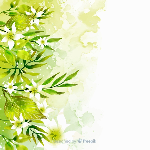 水彩绘绿色树叶白色花卉