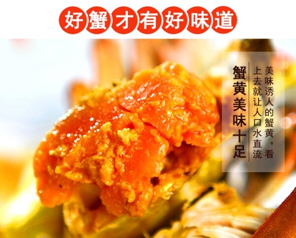 螃蟹蟹黃