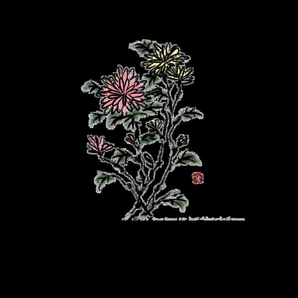 黑色簡(jiǎn)約手繪菊花裝飾元素