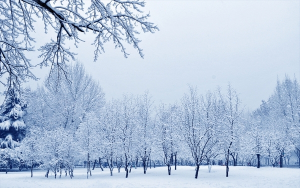 雪景圖片