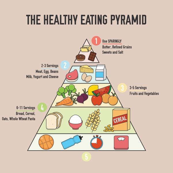健康饮食金字塔的背景