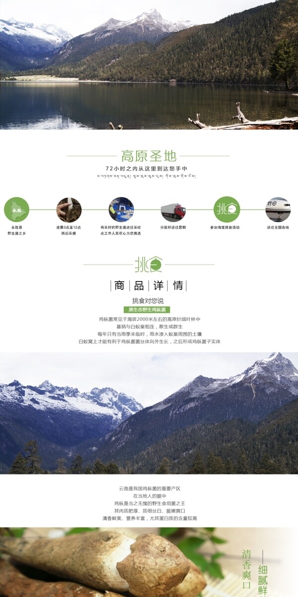 雞樅詳情頁
