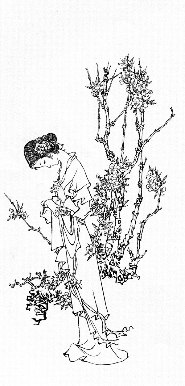 襲人