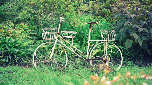 花园自行车花篮草地风景图片