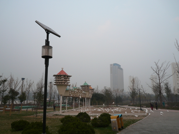 滄州獅城公園一角圖片