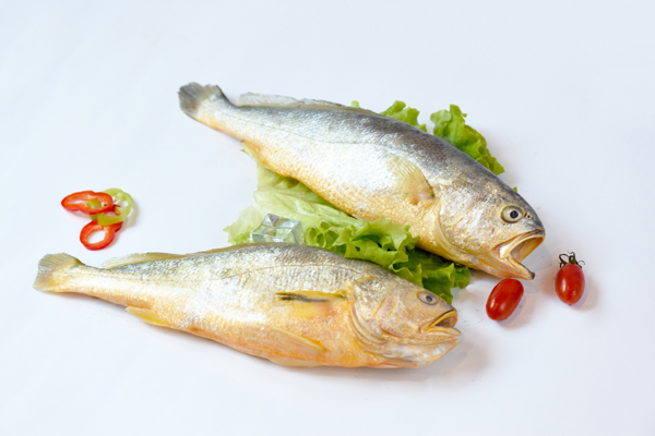 黃花魚海鮮