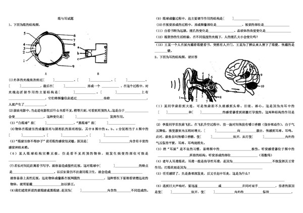 七年級下冊生物眼與耳試題