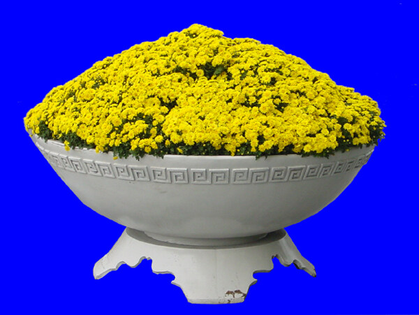 花壇031植物素材
