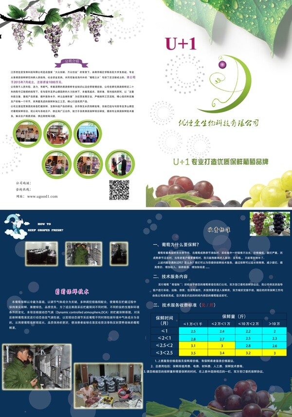 公司宣傳畫(huà)冊(cè)