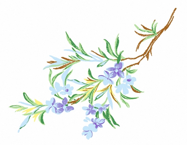 位圖成熟優(yōu)雅女裝T恤圖案毛衫印花優(yōu)雅植物免費素材