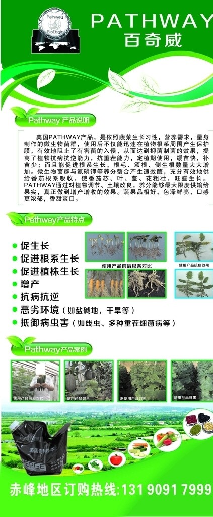 百奇威圖片