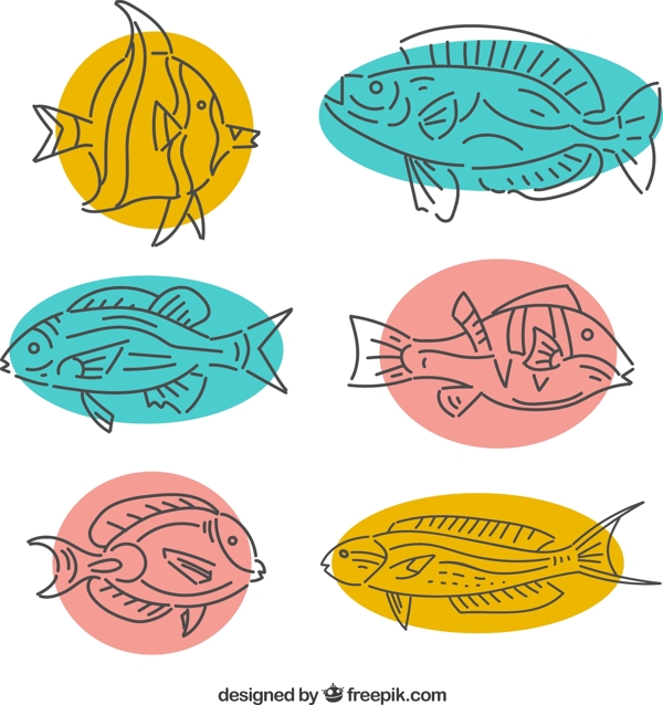 6款手绘鱼类设计矢量素材