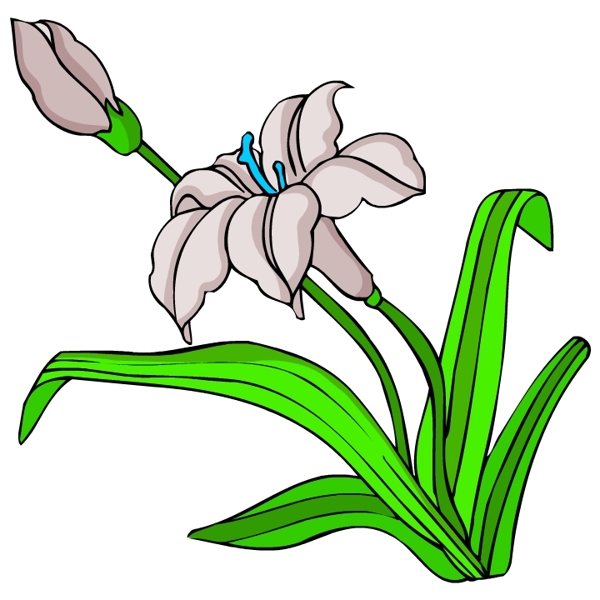 花卉古典插畫